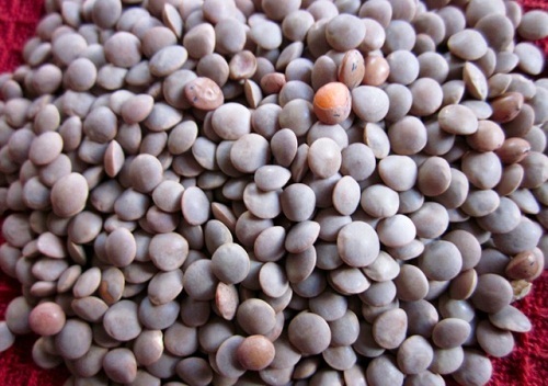 Black Masoor Pulses